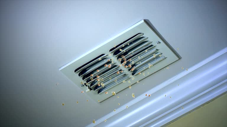 Best Residential Air Duct Cleaning  in La Plata, MD